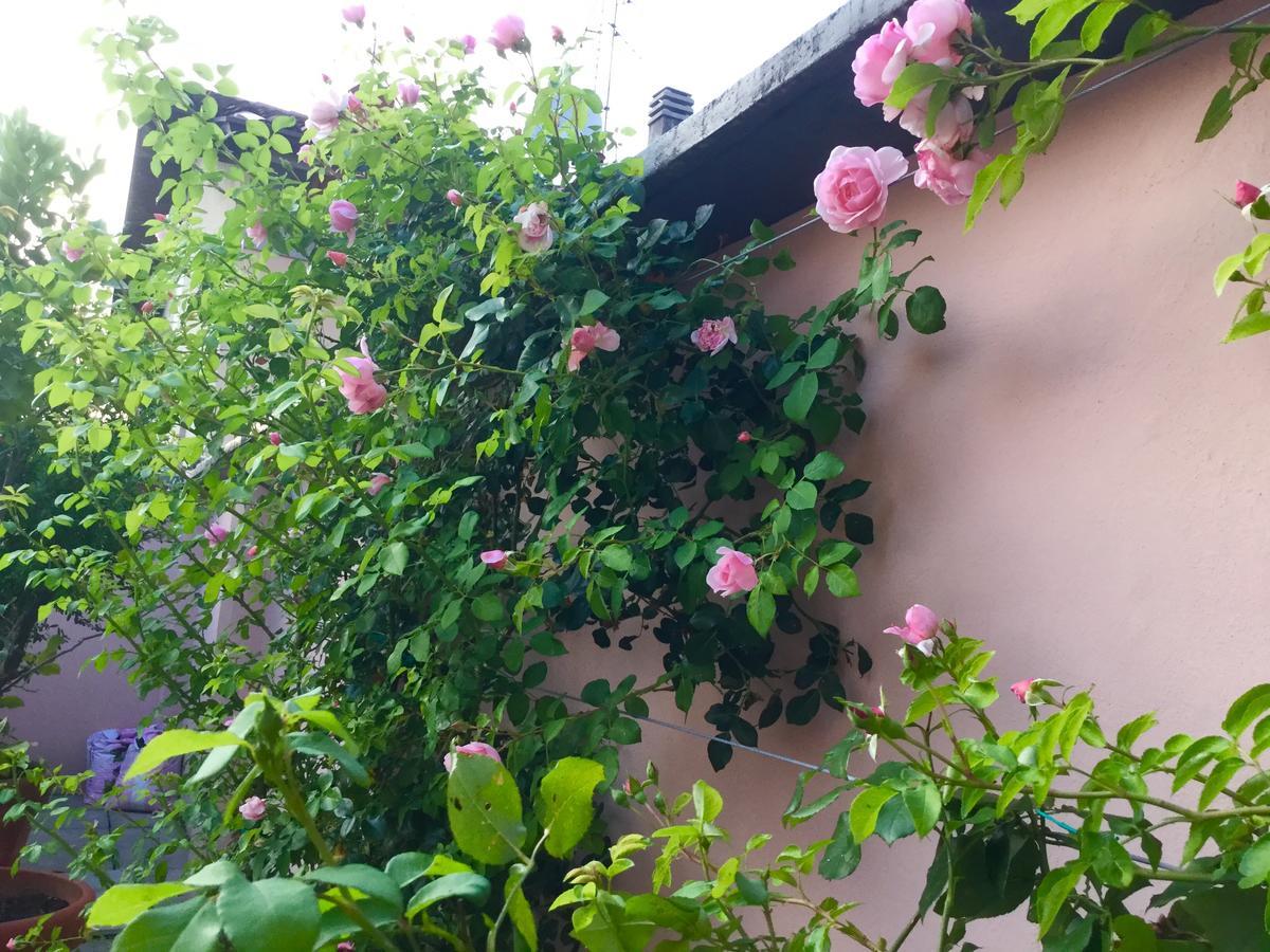 B&B Pescarenico Lecco Exterior foto